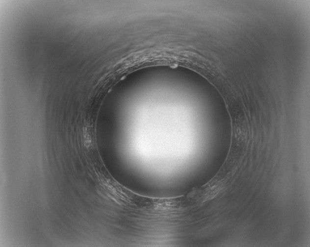 X0000062671490200512211321