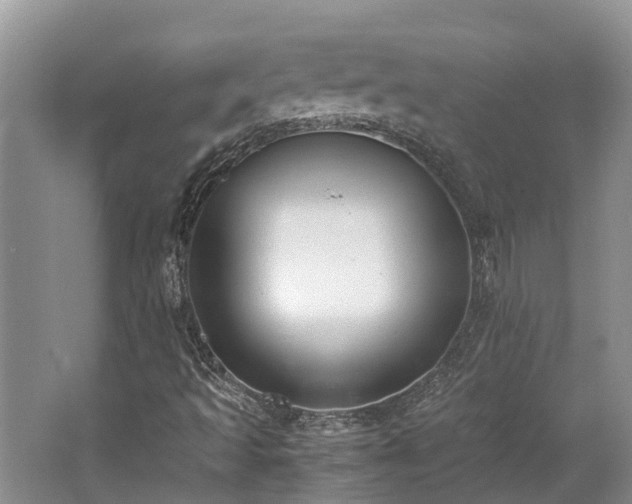 X0000062671493200512211321