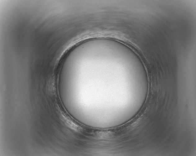 X0000062671498200512211321