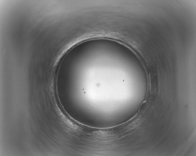 X0000062671500200512211321