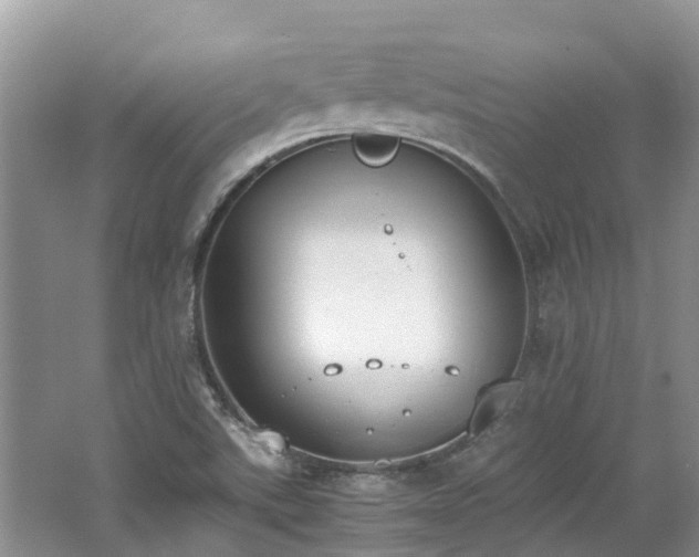 X0000062671507200512211321