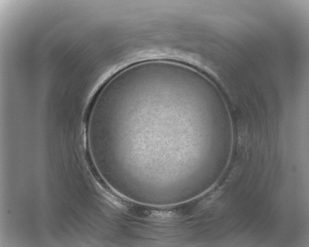 X0000062671509200512211321