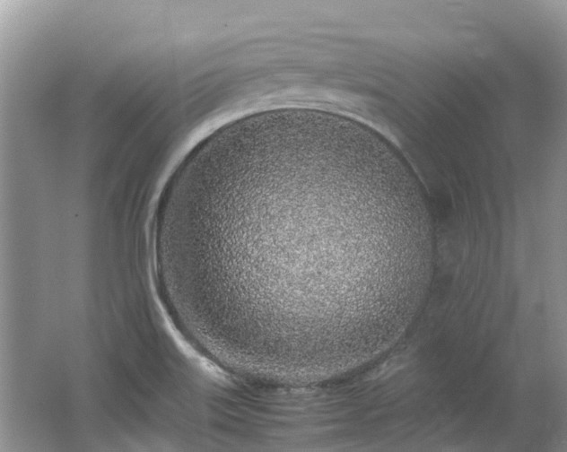 X0000062671515200512211321