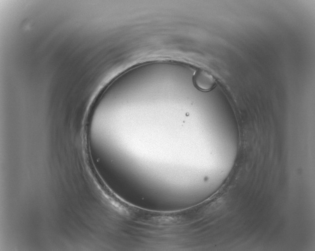 X0000062671517200512211321