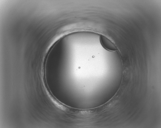 X0000062671523200512211321