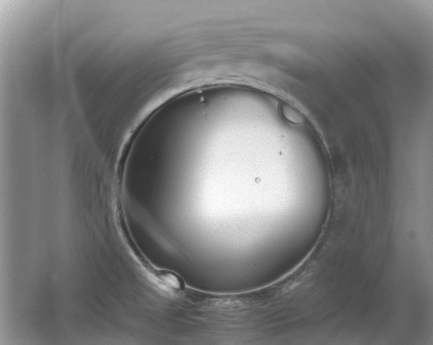 X0000062671525200512211321