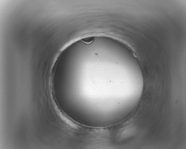 X0000062671526200512211321