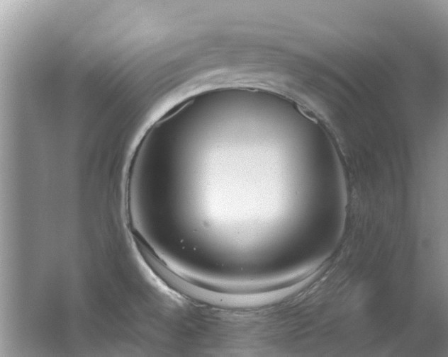 X0000062671528200512211321