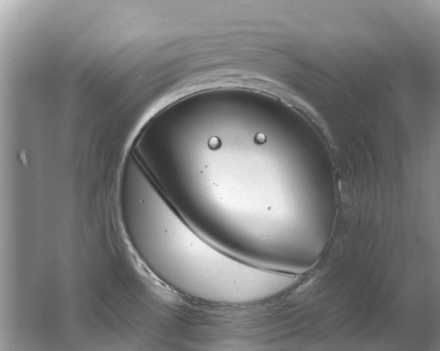 X0000062671530200512211321