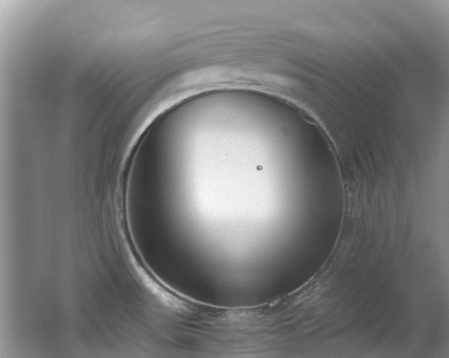 X0000062671531200512211321