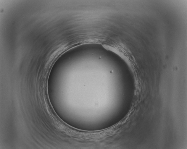 X0000062670001200512230958