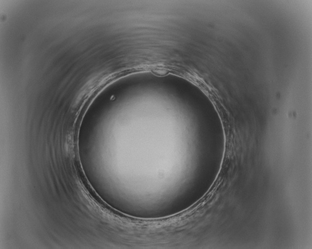 X0000062670002200512230958