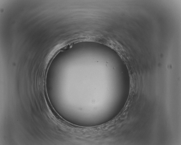 X0000062670003200512230958