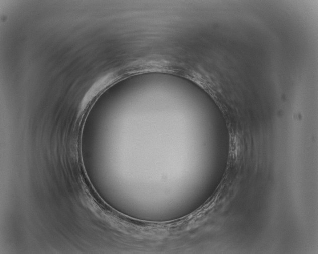 X0000062670004200512230958