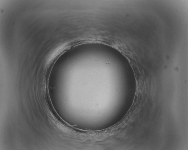 X0000062670005200512230958