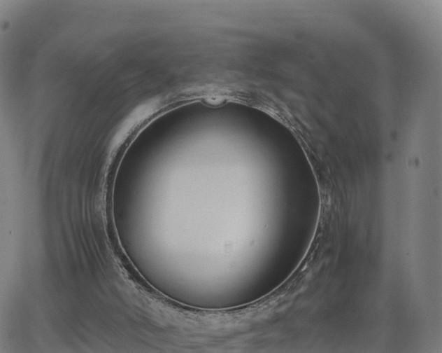 X0000062670006200512230958