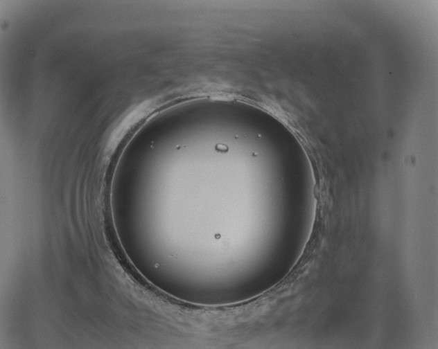 X0000062670007200512230958