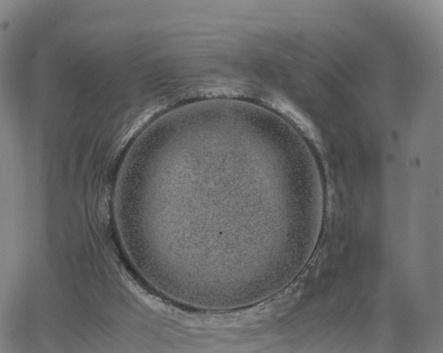 X0000062670009200512230958