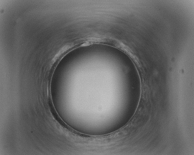 X0000062670011200512230958