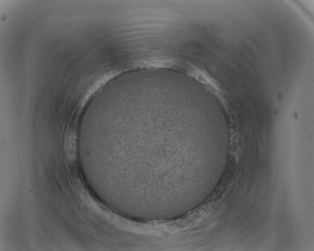 X0000062670012200512230958