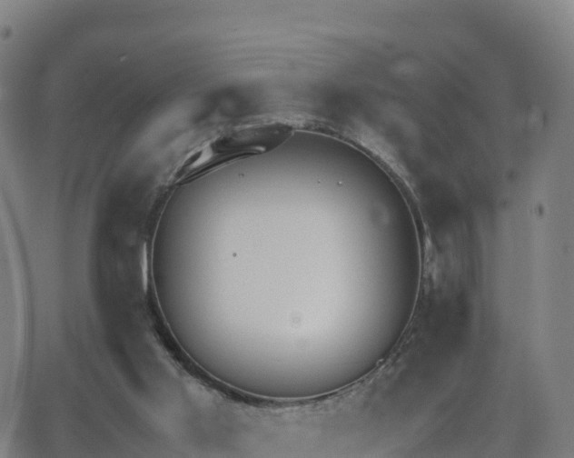 X0000062670013200512230958