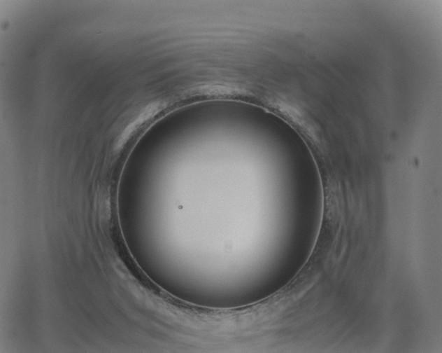 X0000062670015200512230958