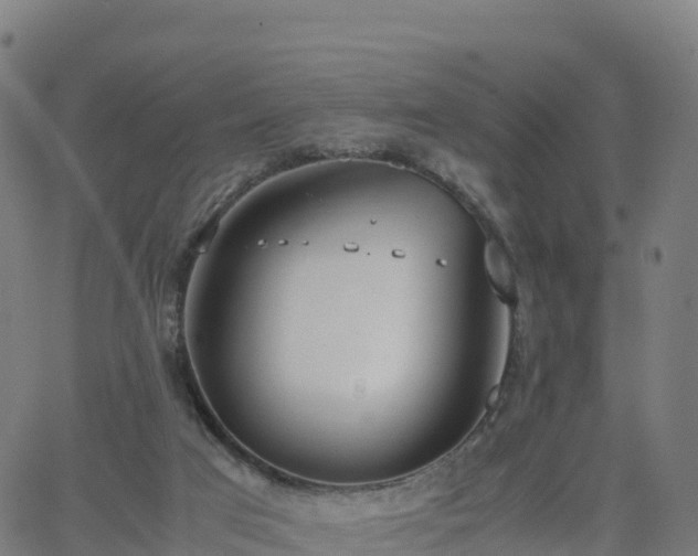 X0000062670017200512230958