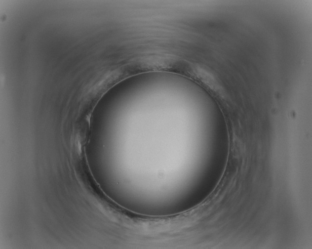 X0000062670021200512230958