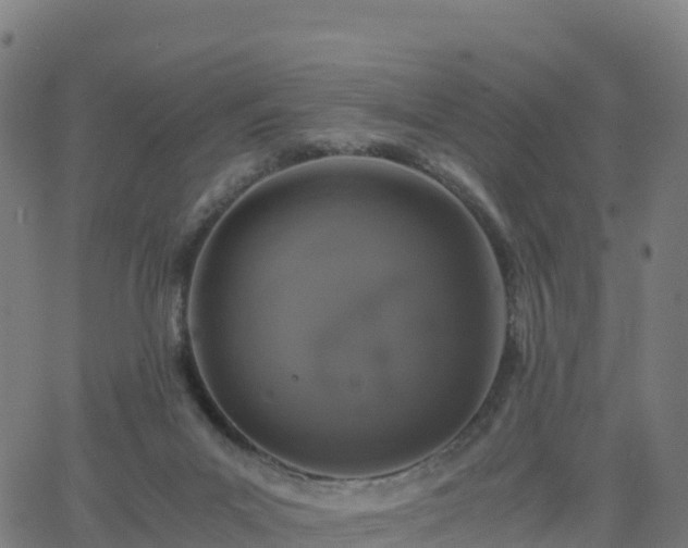 X0000062670023200512230958