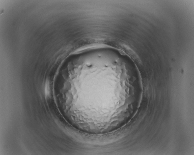 X0000062670026200512230958