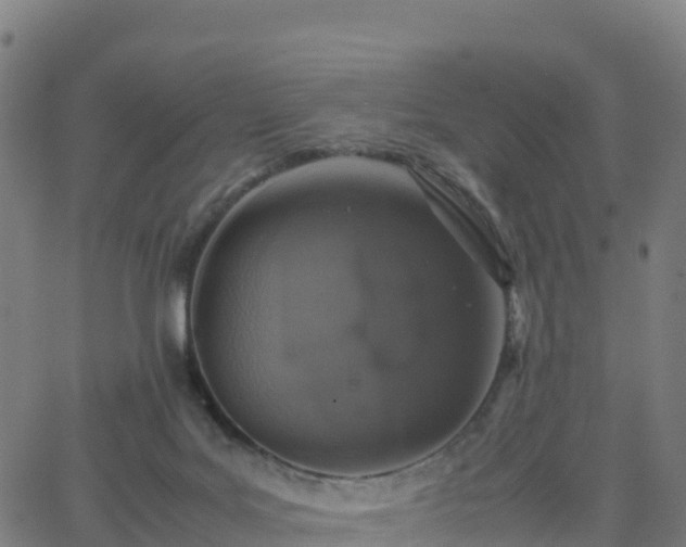 X0000062670027200512230958