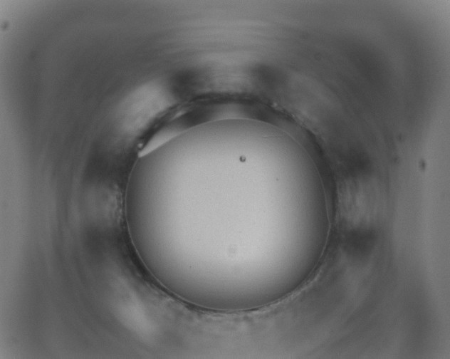 X0000062670029200512230958