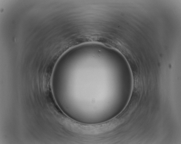 X0000062670030200512230958