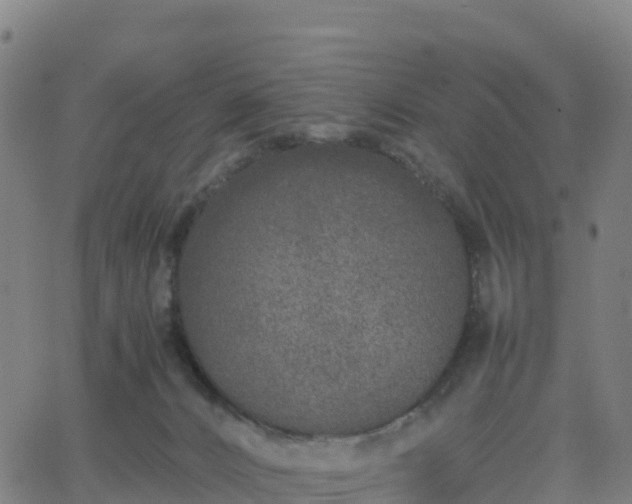 X0000062670032200512230958