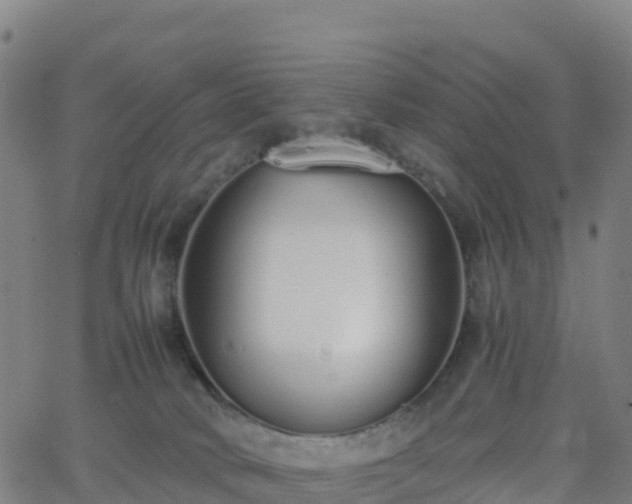 X0000062670034200512230958