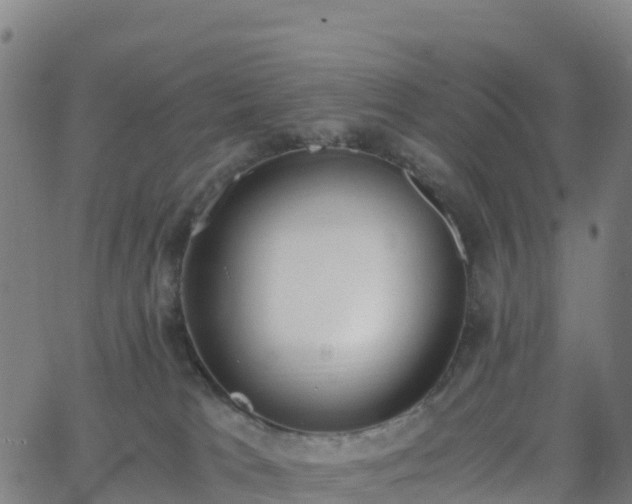 X0000062670037200512230958