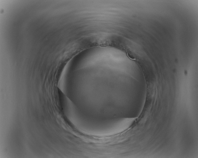 X0000062670039200512230958