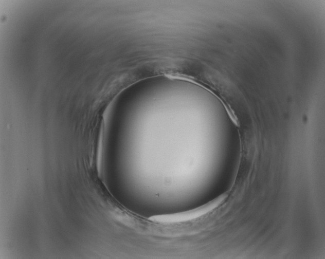 X0000062670041200512230958