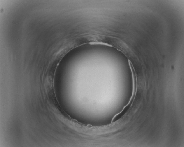 X0000062670043200512230958