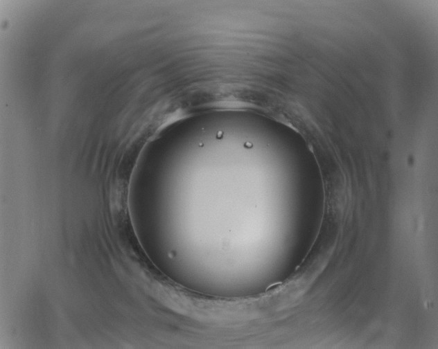 X0000062670044200512230958