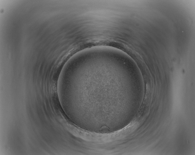 X0000062670048200512230958