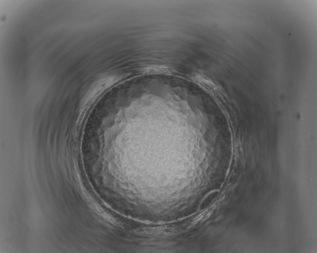 X0000062670049200512230957