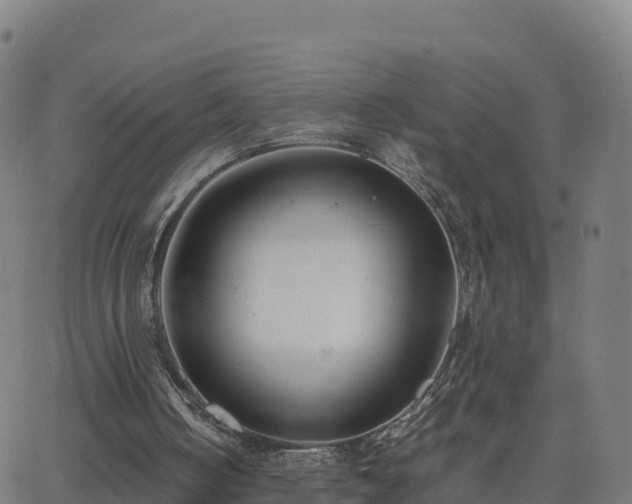 X0000062670050200512230957