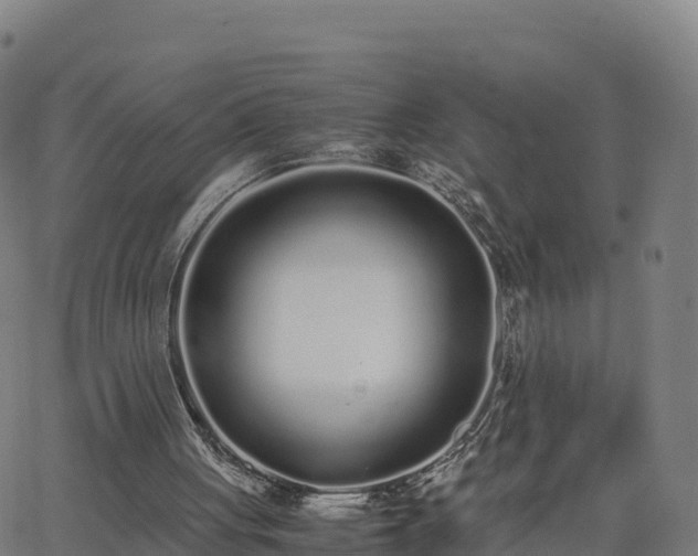 X0000062670051200512230957