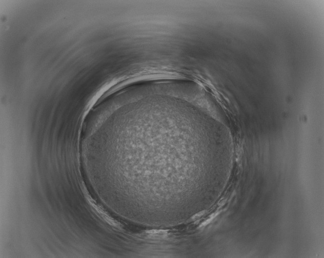 X0000062670052200512230957