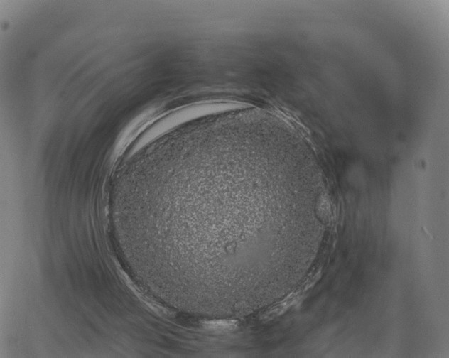 X0000062670053200512230957