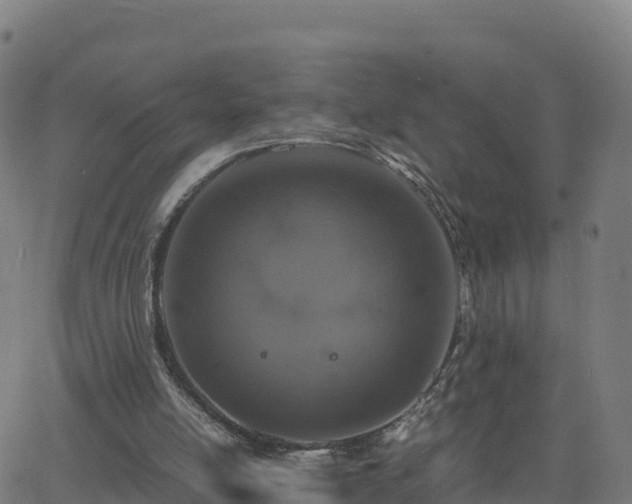 X0000062670054200512230957