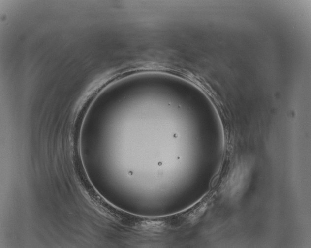 X0000062670055200512230957