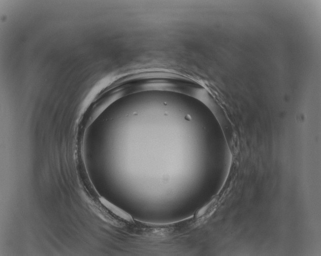 X0000062670056200512230957