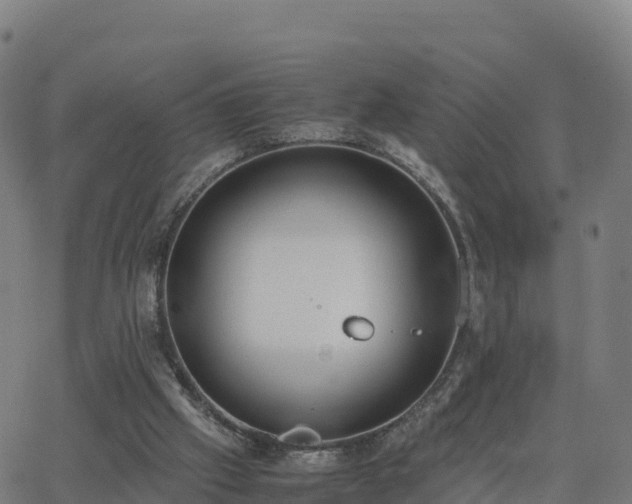 X0000062670057200512230957